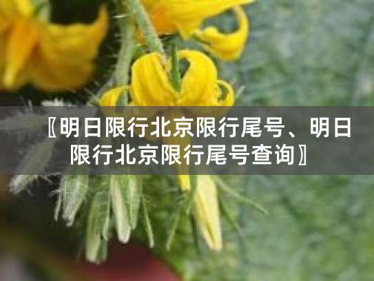 2025年12月29日至2026年3月29日北京限行尾号安排