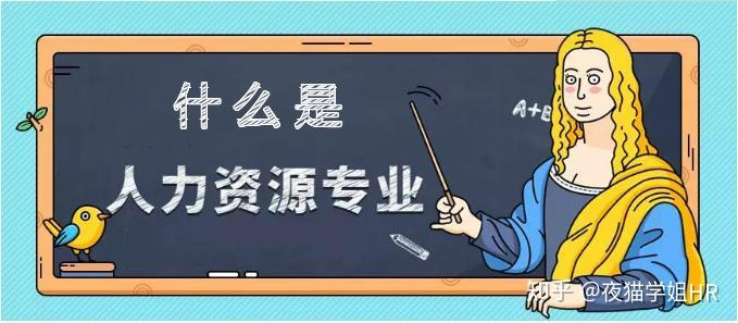 人力资源管理专业介绍:六大模块及工作内容全解析
