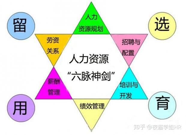 人力资源管理专业介绍:六大模块及工作内容全解析