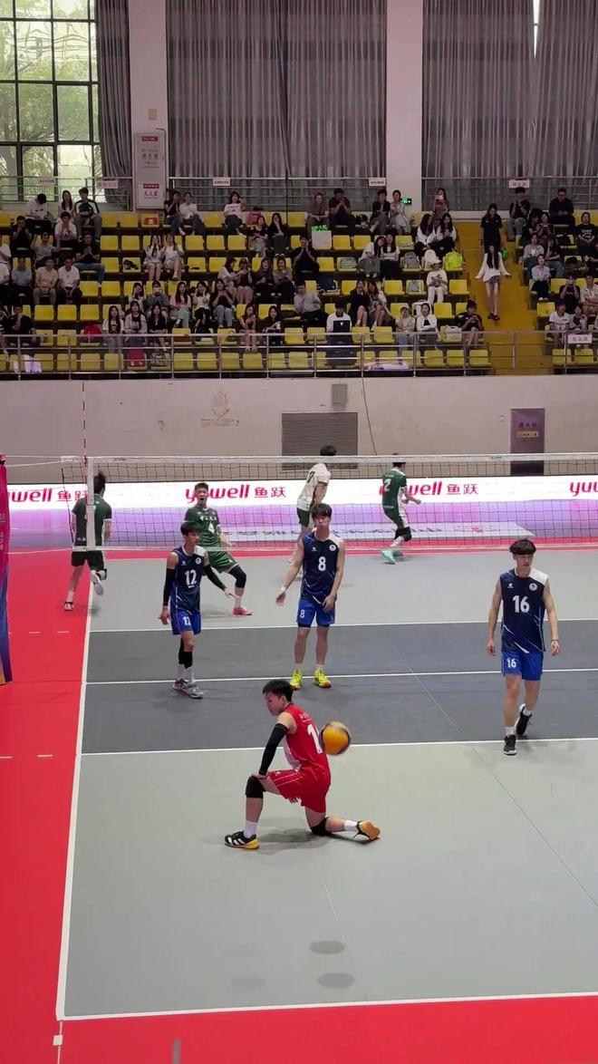 奥运冠军全红婵进名校,揭秘体育生进名校的保送路径