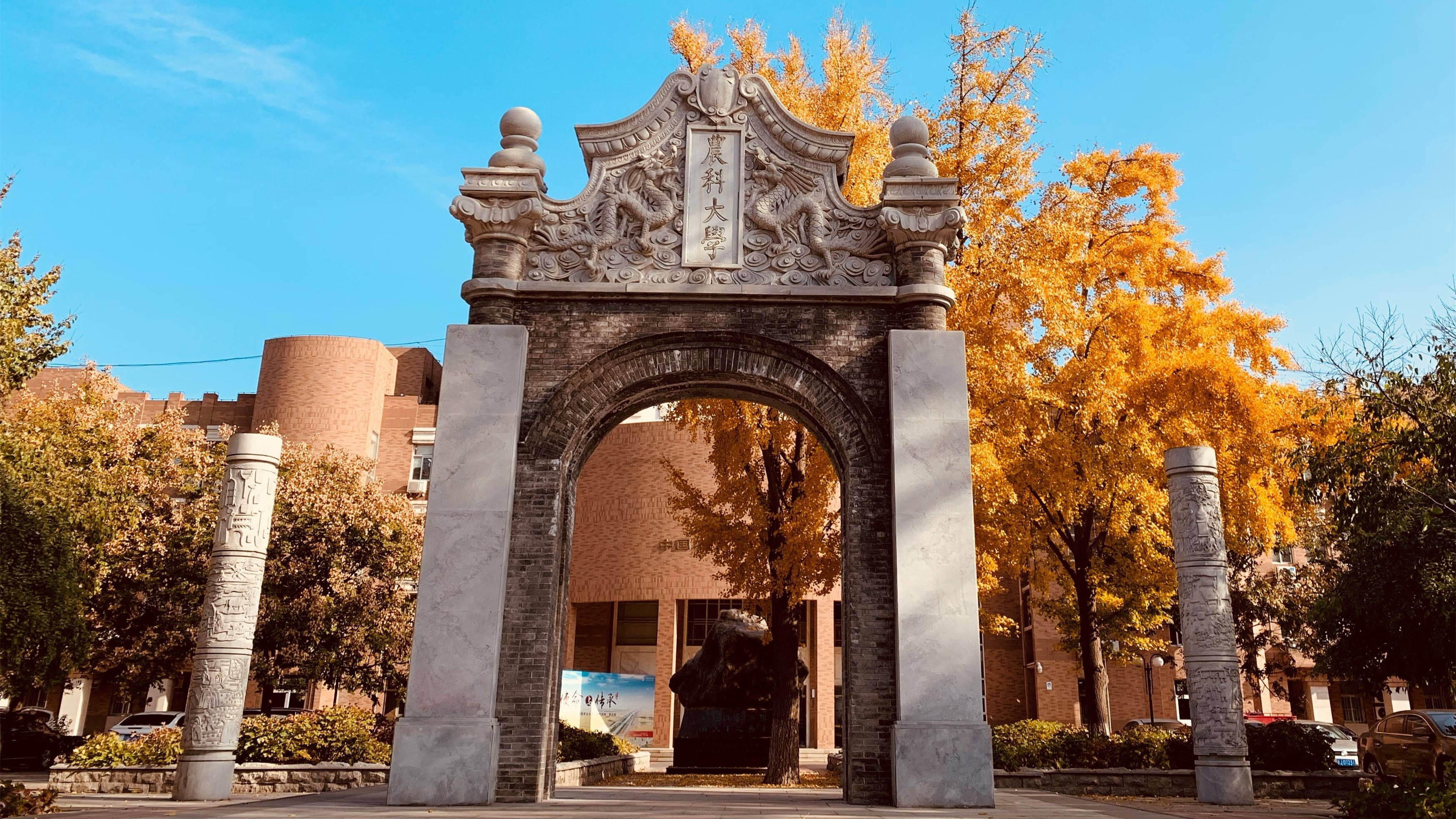 中国农业大学2025年本科招生章程新变化全解析