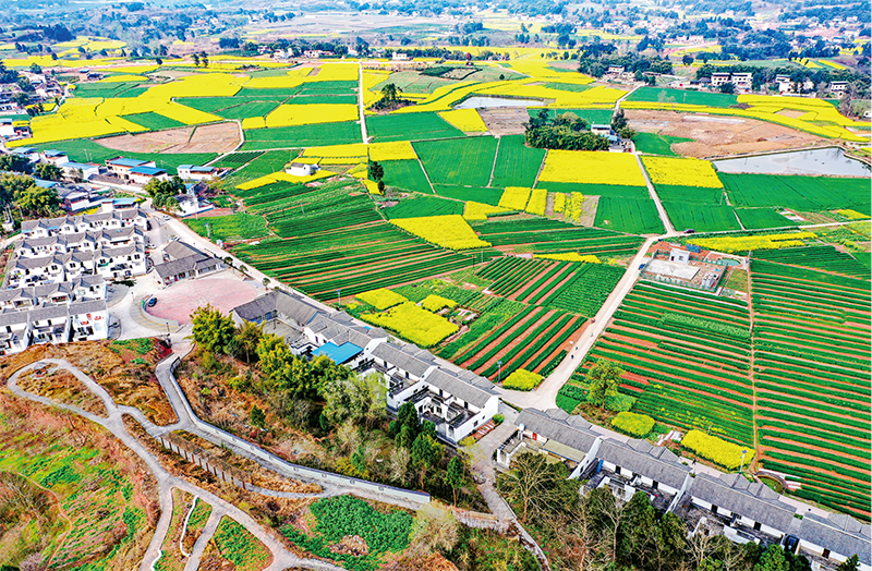 坚决克服疫情影响，确保完成脱贫攻坚目标任务进入小康社会