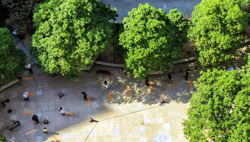 河南多地疫情多点散发,启动静态管理阻断疫情传播